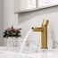 Ashford Single Handle Bathroom Faucet (Matte Brushed Gold), VG01052MG