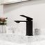 Dunn Single Handle Bathroom Faucet (Matte Black), VG01054MB