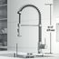 Edison Single Handle Pull-Down Sprayer Kitchen Faucet (Chrome), VG02001CH
