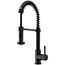 Edison Single Handle Pull-Down Sprayer Kitchen Faucet (Matte Black), VG02001MB