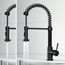 Edison Single Handle Pull-Down Sprayer Kitchen Faucet (Matte Black), VG02001MB