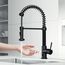 Edison Single Handle Pull-Down Sprayer Kitchen Faucet w/ Touchless Sensor (Matte Black), VG02001MBS