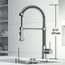Edison Single Handle Pull-Down Sprayer Kitchen Faucet (Stainless Steel), VG02001ST