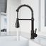 Brant Single Handle Pull-Down Sprayer Kitchen Faucet (Matte Black), VG02003MB