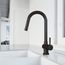 Gramercy Single Handle Pull-Down Spout Kitchen Faucet (Matte Black), VG02008MB