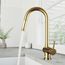 Gramercy Single Handle Pull-Down Spout Kitchen Faucet (Matte Brushed Gold), VG02008MG
