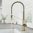Livingston Single Handle Pull-Down Sprayer Kitchen Faucet (Matte Brushed Gold), VG02027MG