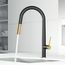 Greenwich Single Handle Pull-Down Sprayer Kitchen Faucet (Matte Black/Matte Brushed Gold), VG02029MBMGB