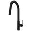 Hart Hexad Single Handle Pull-Down Spout Kitchen Faucet (Matte Black), VG02034MB