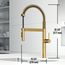 Edison Pro Single Handle Pull-Down Kitchen Faucet (Matte Brushed Gold), VG02052MG