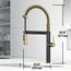 Edison Pro Single Handle Pull-Down Kitchen Faucet (Matte Gold/Matte Black), VG02052MGMB
