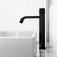 Apollo Button Operated Bathroom Vessel Faucet (Matte Black), VG03031MB