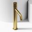 Apollo Button Operated Bathroom Vessel Faucet (Matte Brushed Gold), VG03031MG