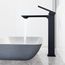 Dunn Single Handle Bathroom Vessel Faucet (Matte Black), VG03036MB