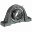 1-15/16" Normal Duty 2-Bolt Low Base Pillow Block w/ Eccentric Lock