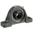1-1/4" 2-Bolt Pillow Block Bearing w/ Setscrew Lock