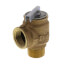 3/4" Relief Valve, 30 PSI