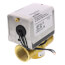 1" Threaded 2-Way PopTop Zone Valve (24V)