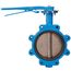 8" 88IHH61 Lug Ductile Iron Butterfly Valve, EPDM, Lever Handle (200 PSI)