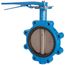 8" 88IHH61 Lug Ductile Iron Butterfly Valve, EPDM, Lever Handle (200 PSI)