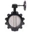 10" 88IPH65 Lug Ductile Iron Butterfly Valve, Gear Operator (200 PSI)
