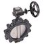 10" 88IPH65 Lug Ductile Iron Butterfly Valve, Gear Operator (200 PSI)