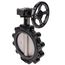 10" 88IPH65 Lug Ductile Iron Butterfly Valve, Gear Operator (200 PSI)