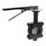 5" 88IHH61 Lug Ductile Iron Butterfly Valve, EPDM, Lever Handle (200 PSI)