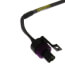 6.5' Plug and Three-Wire Harness for P499
