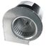 5KCP29CG8403S/W806CC - 7.62" x 5" Comp. Assembly, SKFHW3P403-W806CC-762X5