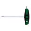 T-Handle Torx T25 Key, Chrome-Plated, 36483