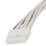 16-Pin Wiring Harness, WIR01922