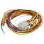 12 Pin Wire Harness, WIR02359