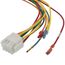 12 Pin Wire Harness, WIR02359