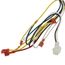4pin-12pin Male Wire Harness, WIR04584