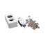 15A, 125V, NEMA 5-15R Duplex Grounding Receptacle & Box Fitting for 500 & 700 Raceways (Ivory)
