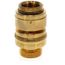 Backflow Preventer (Brass)