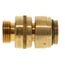 Backflow Preventer (Brass)