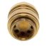 Backflow Preventer (Brass)