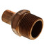 3/4" FTG x Male Street Adapter