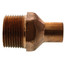 3/4" FTG x Male Street Adapter