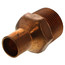 3/4" FTG x Male Street Adapter