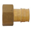 1" Expansion PEX x 1" NPT Female Adapter (Lead Free Brass)