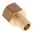 1/2" Expansion PEX x 1/2" NPT Female Adapter (Lead Free Brass)