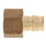 1/2" Expansion PEX x 1/2" NPT Female Adapter (Lead Free Brass)