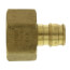 1/2" Expansion PEX x 3/4" NPT Female Adapter (Lead Free Brass)