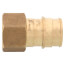 3/4" Expansion PEX x 1/2" NPT Female Adapter (Lead Free Brass)