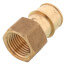 3/4" Expansion PEX x 1/2" NPT Female Adapter (Lead Free Brass)