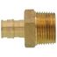 1/2" Expansion PEX x 3/4" NPT Male Adapter (Lead Free Brass)