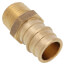 3/4" Expansion PEX x 1/2" NPT Male Adapter (Lead Free Brass)